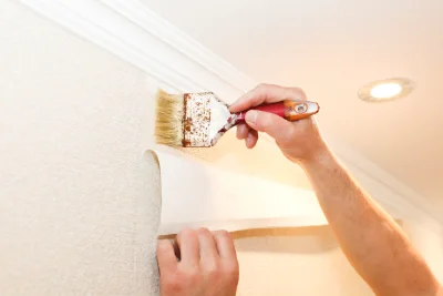 Pose de papier peint à Rochebaudin — revêtements muraux et toiles de verre